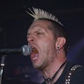 GutterPunk - Professional Concert Photography